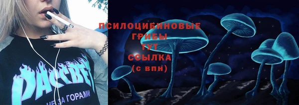 mix Осинники