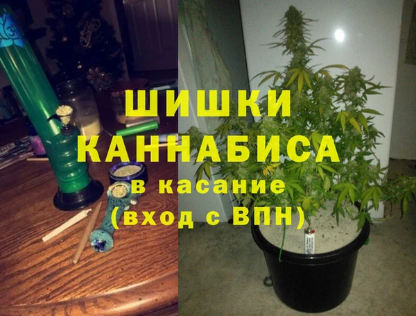 гидра Сосновоборск